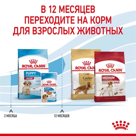 Royal Canin Medium Puppy сухой корм для щенков средних пород Дополнительное Превью